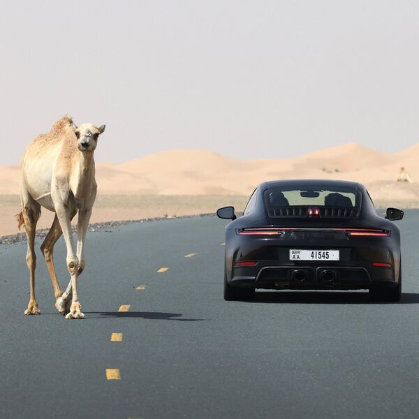 Hybride de performance pour la 911 