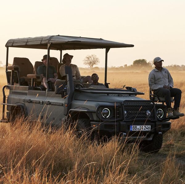 Daktari-Feeling im Safari-Grenadier