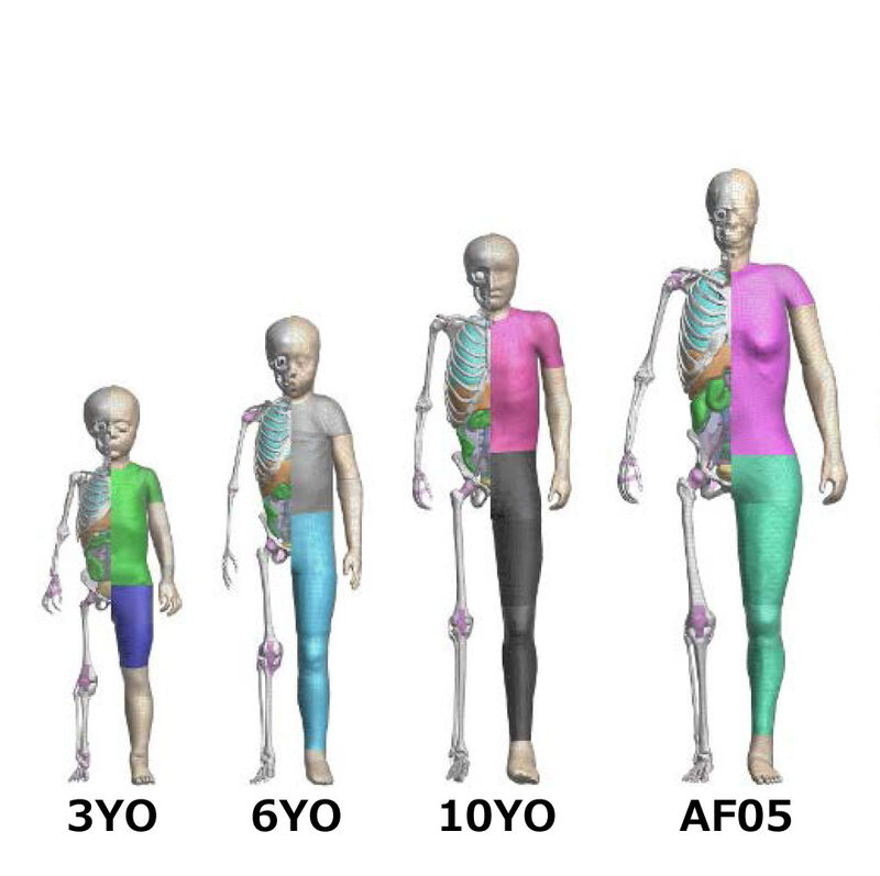 Crash-Test-Dummies für alle